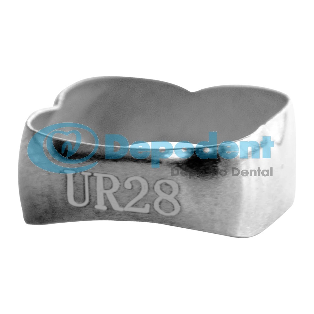 BANDA No 10 SUPERIOR P/ PREMOLAR S/ TUBO DGO