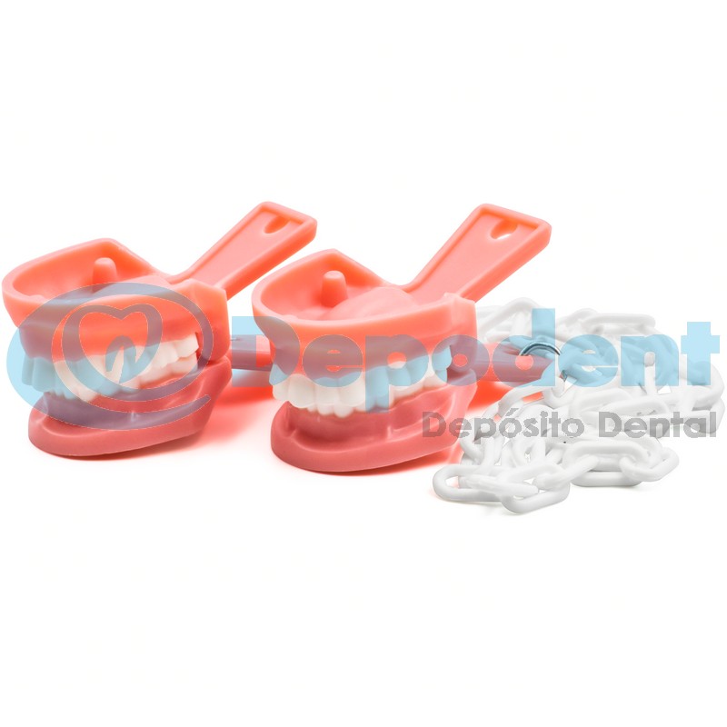 CAIMAN TIPODONTO PLASTICO BAKEL